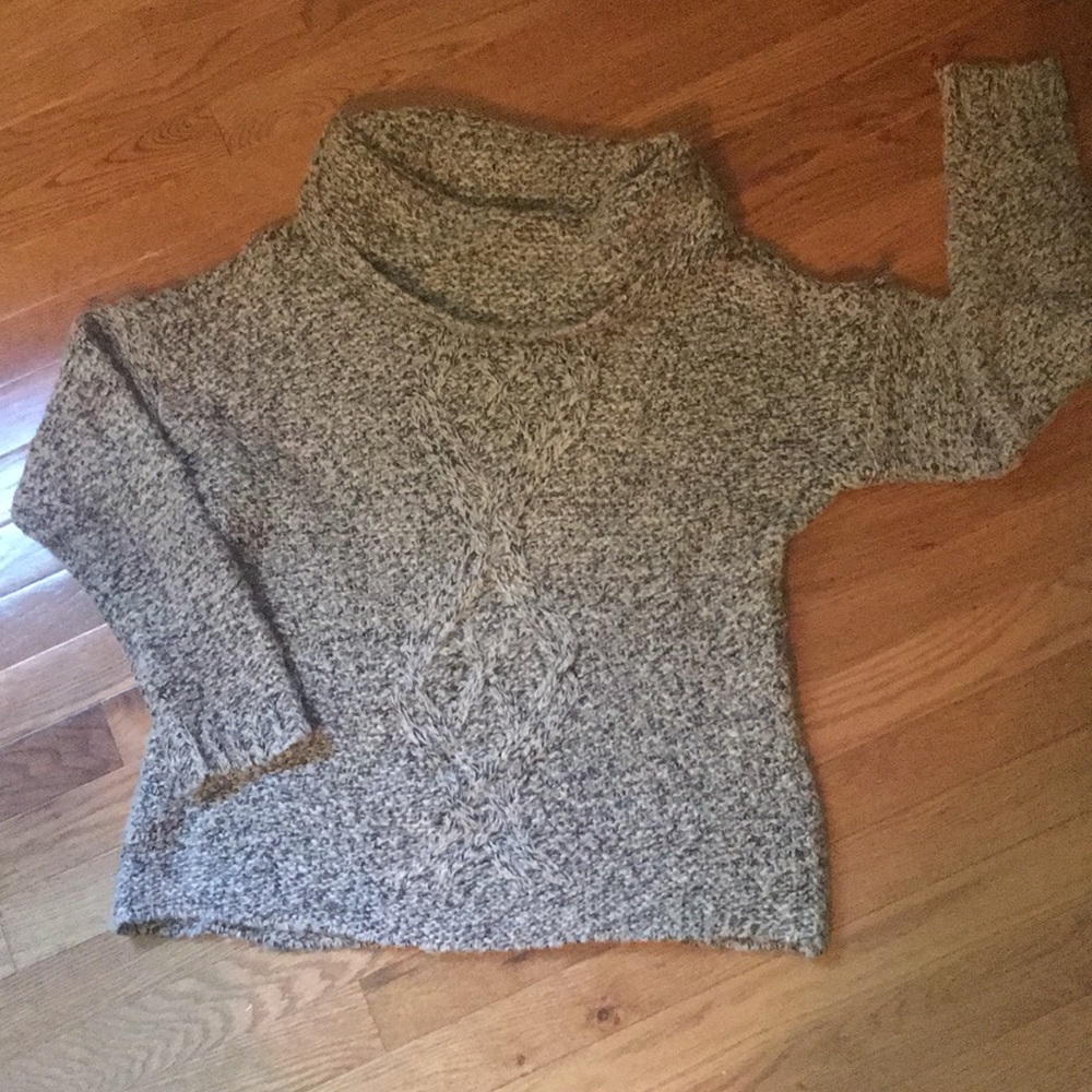 The Limited Chunky Cowlneck